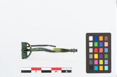 Foto von Bronzebogenfibel (NHMW-PRAE-026456)